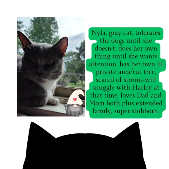 @spazcmt55 Meet Your Posher - Picture 5 of 11